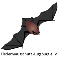 Fledermausschutz Augsburg